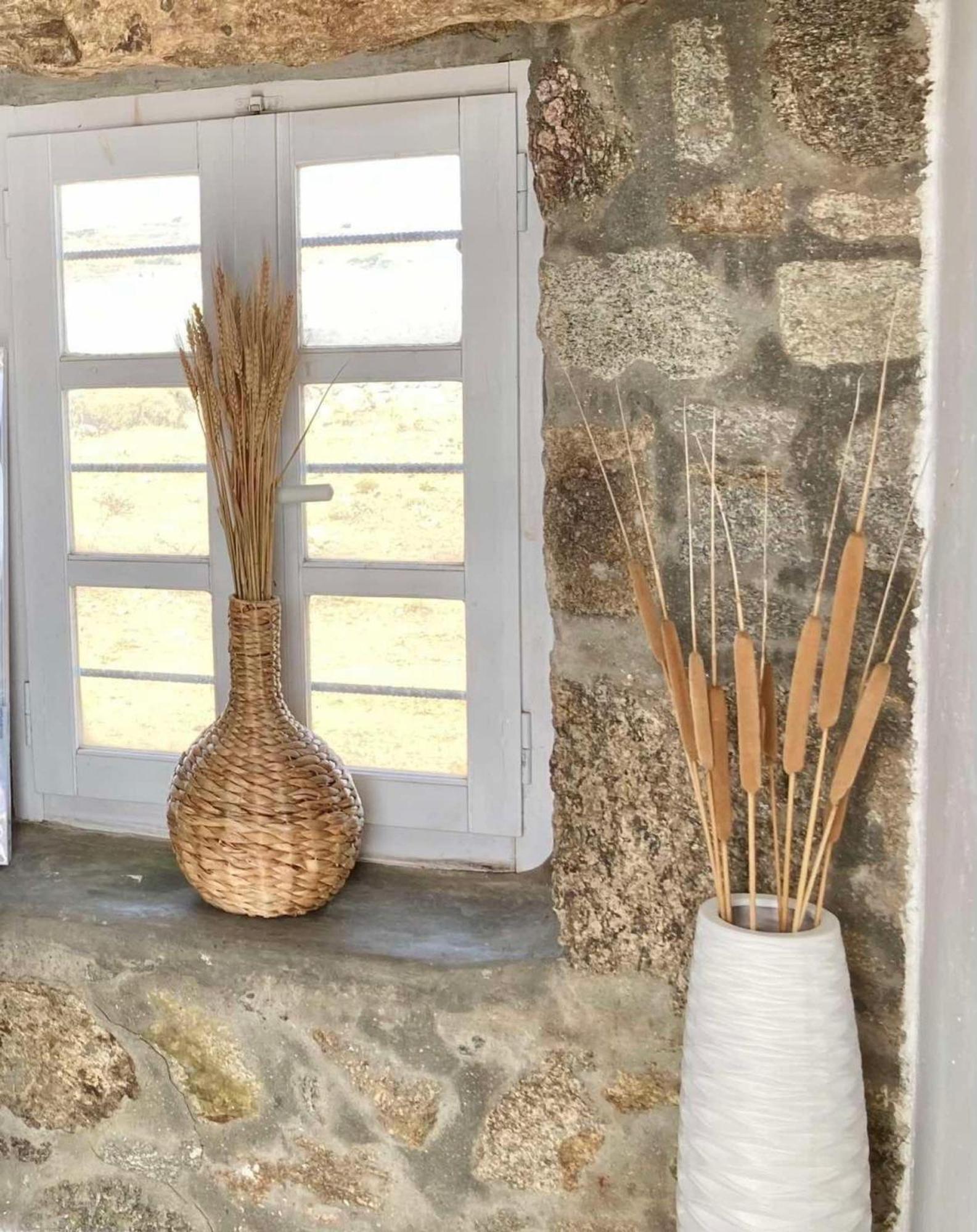 Naira Family Suites Mykonos Mykonos Town 外观 照片