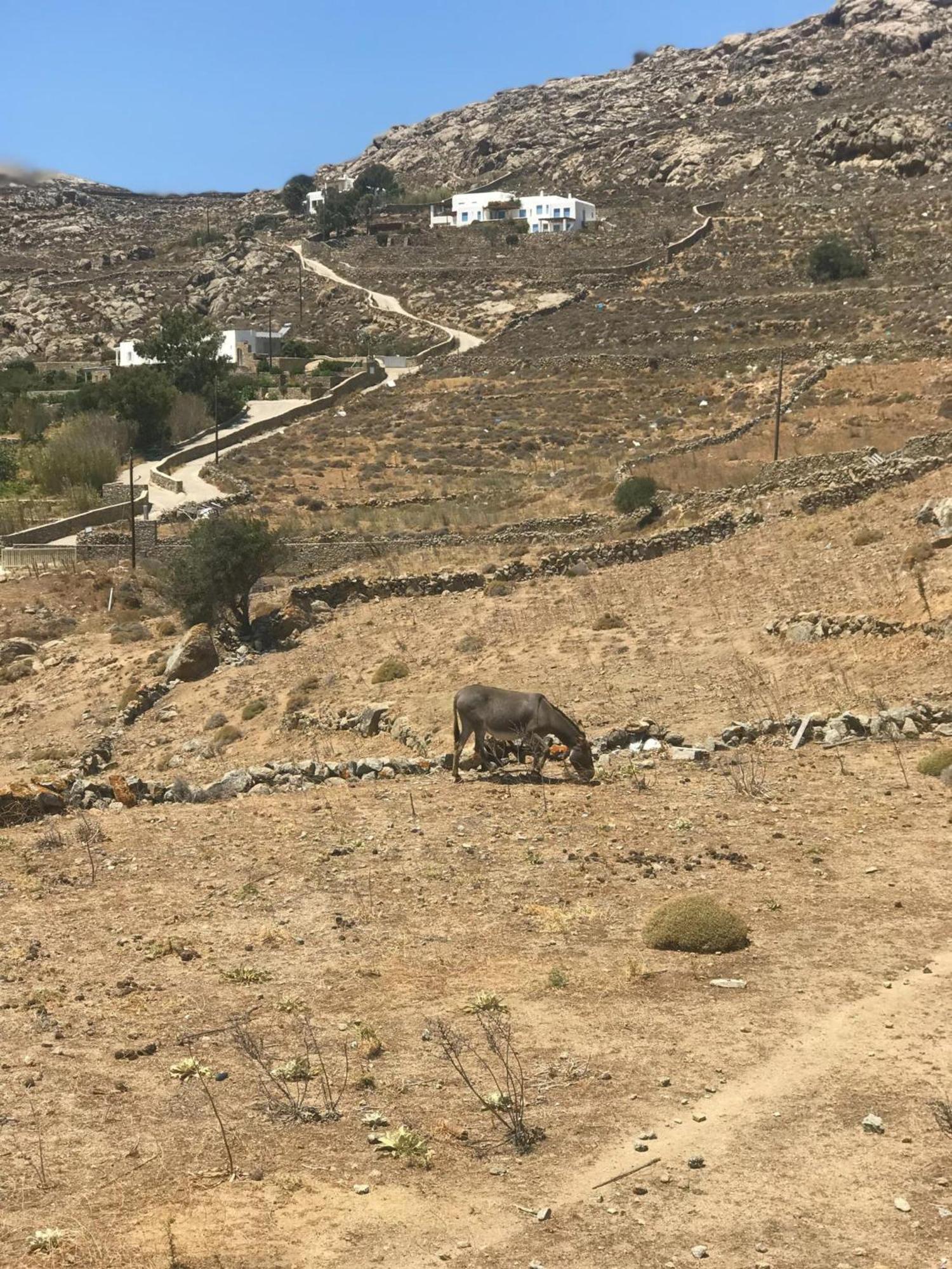 Naira Family Suites Mykonos Mykonos Town 外观 照片
